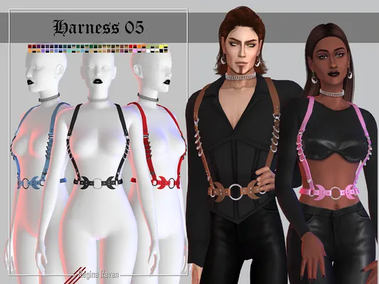 Harness 05